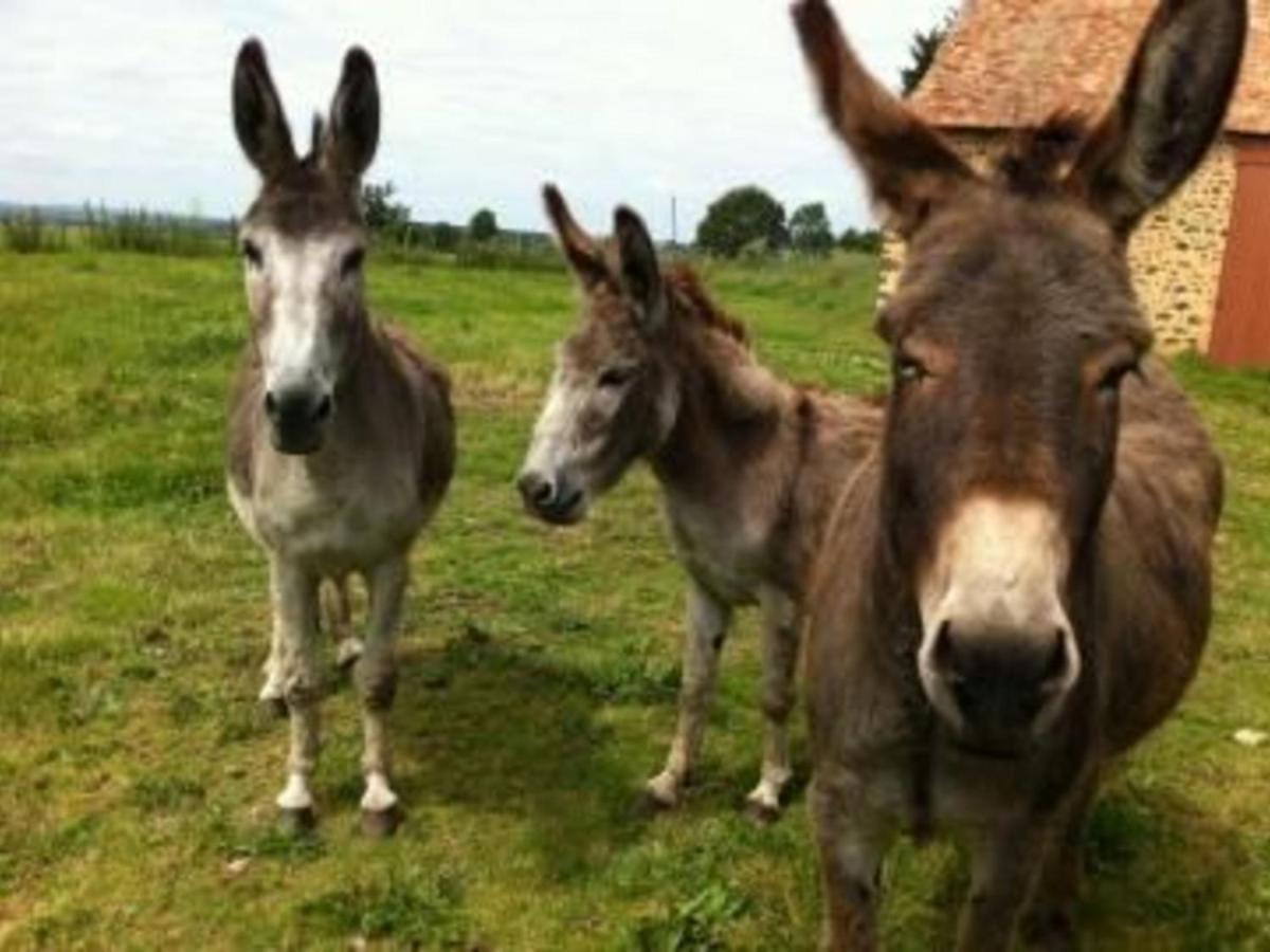 Gîte Vernie, 3 pièces, 6 personnes - FR-1-410-170 Esterno foto